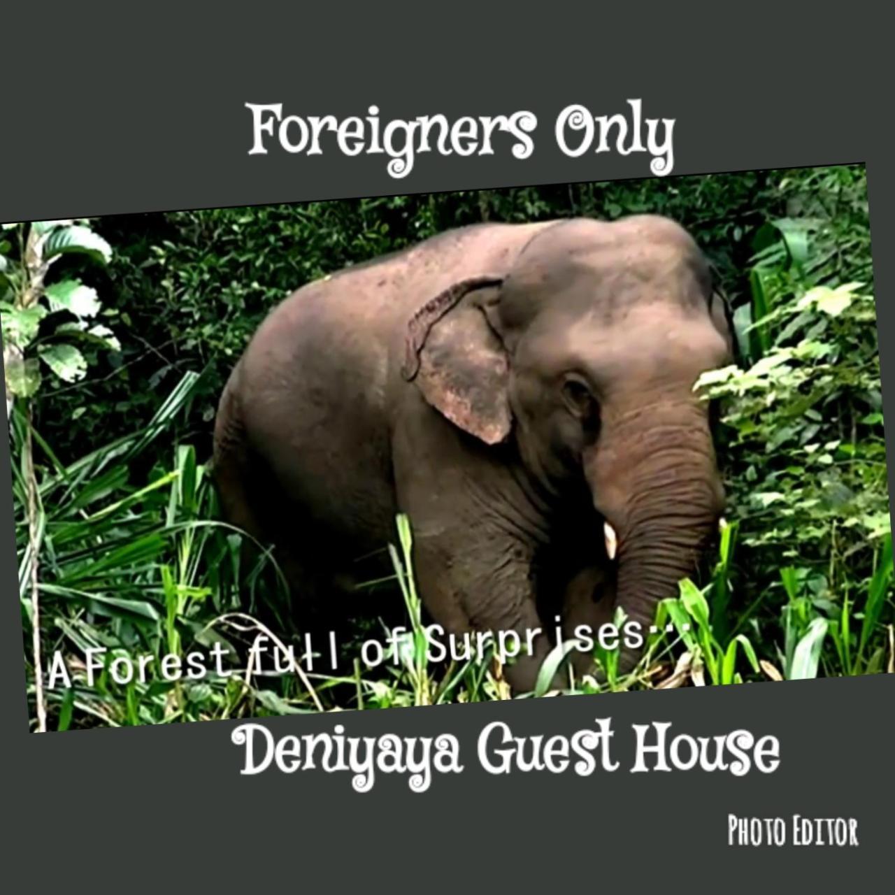 Deniyaya Guest House Exterior foto