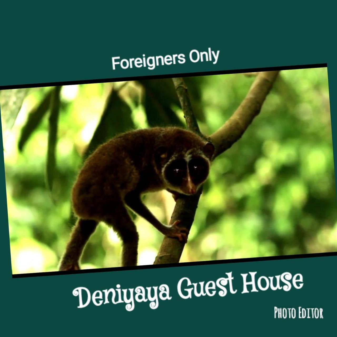 Deniyaya Guest House Exterior foto
